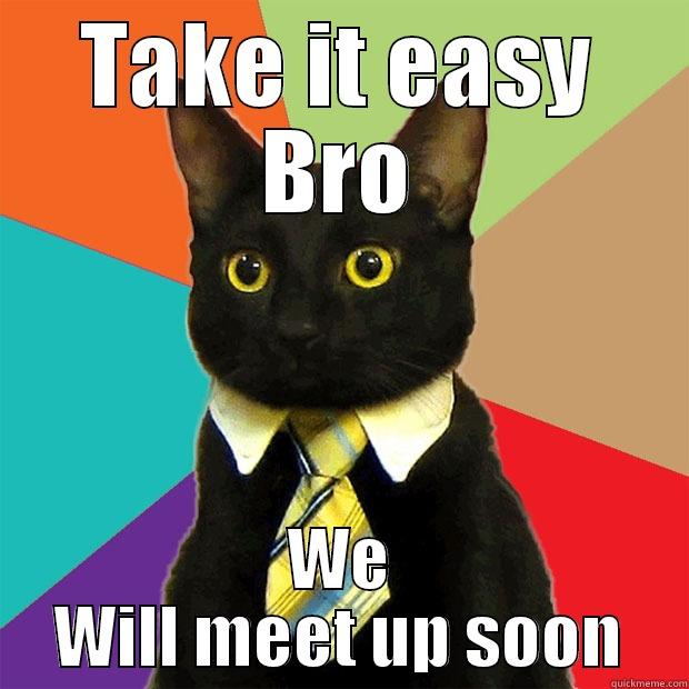 TAKE IT EASY BRO WE WILL MEET UP SOON Business Cat
