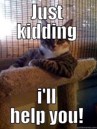JUST KIDDING I'LL HELP YOU! The Most Interesting Cat in the World