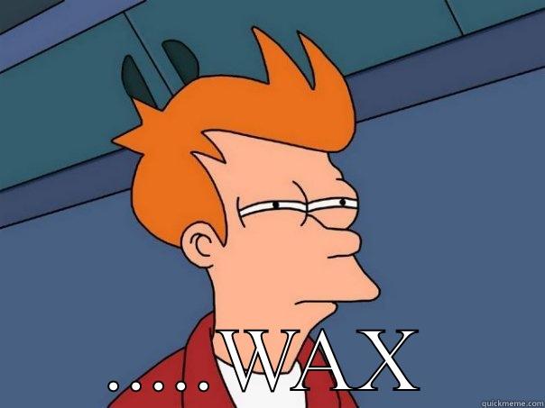  .....WAX Futurama Fry