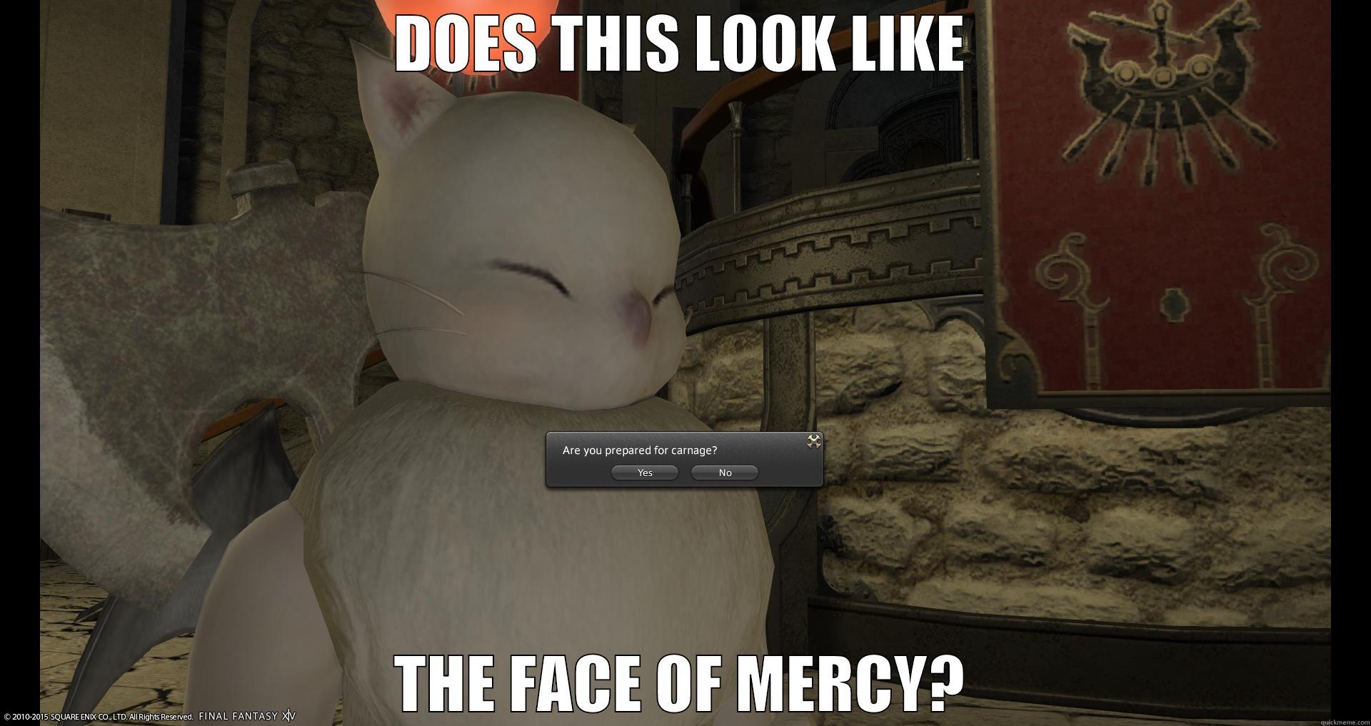 DOES THIS LOOK LIKE THE FACE OF MERCY? Misc