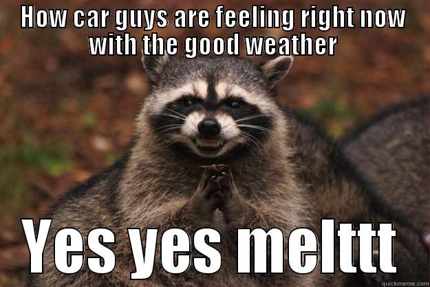HOW CAR GUYS ARE FEELING RIGHT NOW WITH THE GOOD WEATHER YES YES MELTTT Evil Plotting Raccoon