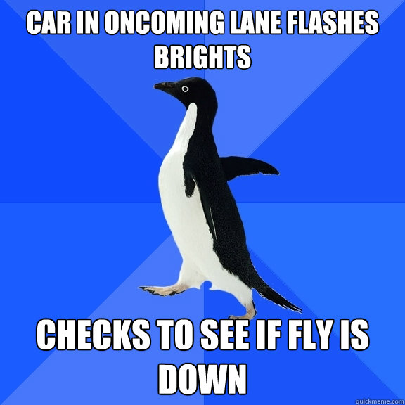 Car in oncoming lane flashes brights Checks to see if fly is down  Socially Awkward Penguin