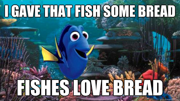 I gave that fish some bread Fishes love bread  