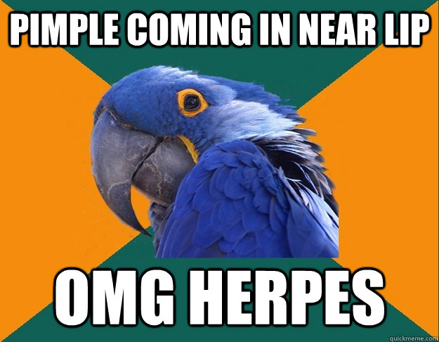 pimple coming in near lip OMG Herpes  Paranoid Parrot