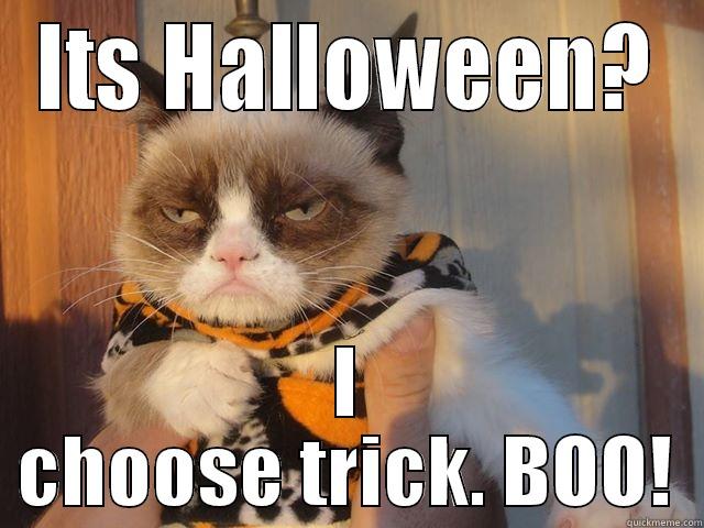 ITS HALLOWEEN? I CHOOSE TRICK. BOO! Misc