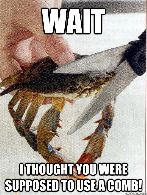 WAIT I THOUGHT YOU WERE SUPPOSED TO USE A COMB! - WAIT I THOUGHT YOU WERE SUPPOSED TO USE A COMB!  End of Crab