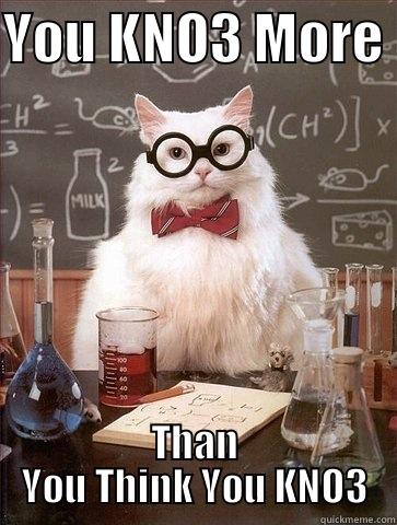 YOU KNO3 MORE  THAN YOU THINK YOU KNO3 Chemistry Cat