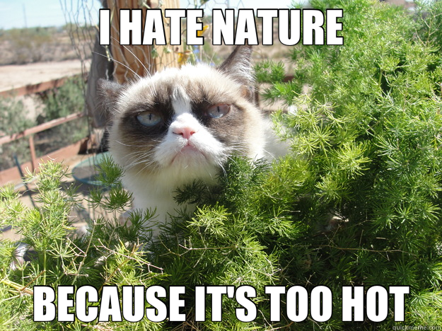 I HATE NATURE BECAUSE IT'S TOO HOT  
