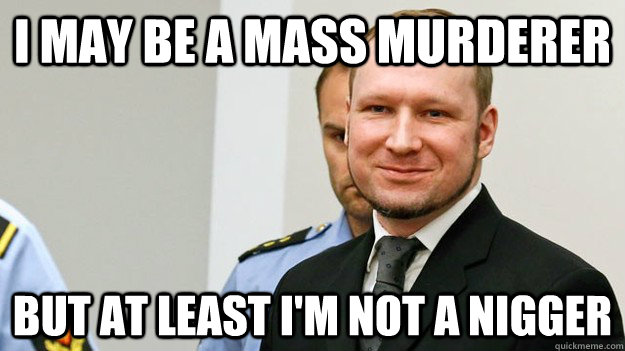 I may be a mass murderer but at least i'm not a nigger  god guy anders