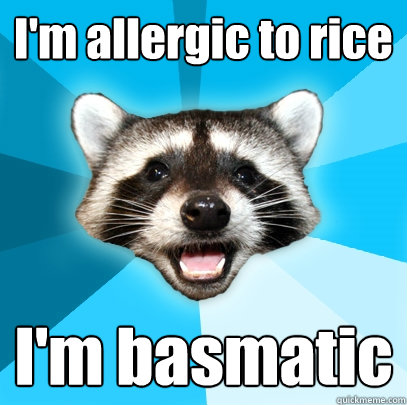 I'm allergic to rice I'm basmatic  Lame Pun Coon