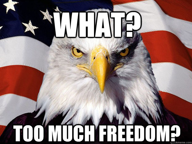 What? Too much freedom?  Patriotic Eagle