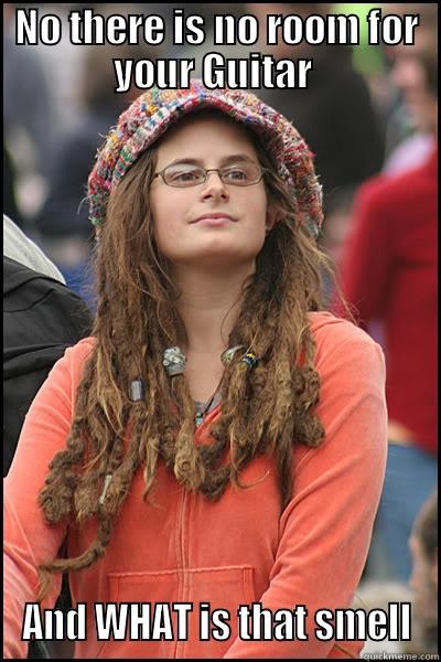 NO THERE IS NO ROOM FOR YOUR GUITAR  AND WHAT IS THAT SMELL College Liberal