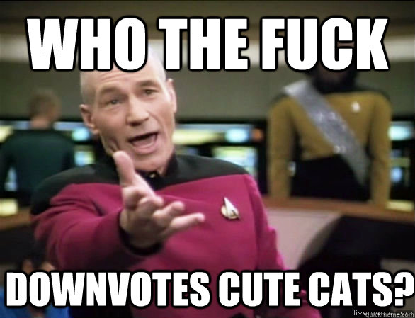 who the fuck Downvotes cute cats?  Annoyed Picard HD