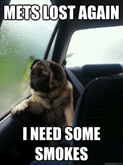 Mets lost again I need some smokes  Introspective Pug