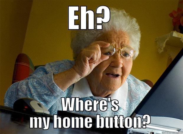 EH? WHERE'S MY HOME BUTTON? Grandma finds the Internet