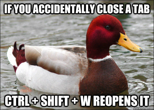 If you accidentally close a tab CTRL + SHIFT + W reopens it  Malicious Advice Mallard
