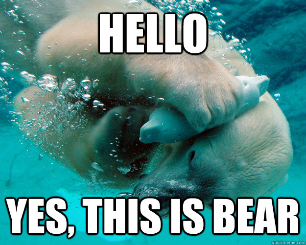 HELLO YES, THIS IS BEAR  YES BEAR