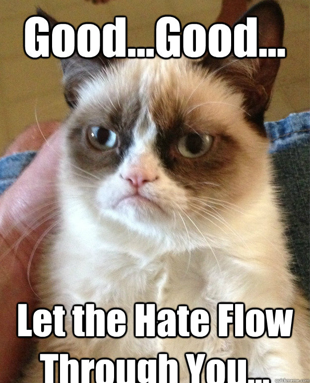 Good...Good... Let the Hate Flow Through You...  