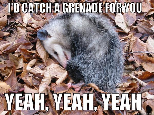 I'D CATCH A GRENADE FOR YOU    YEAH, YEAH, YEAH   Misc