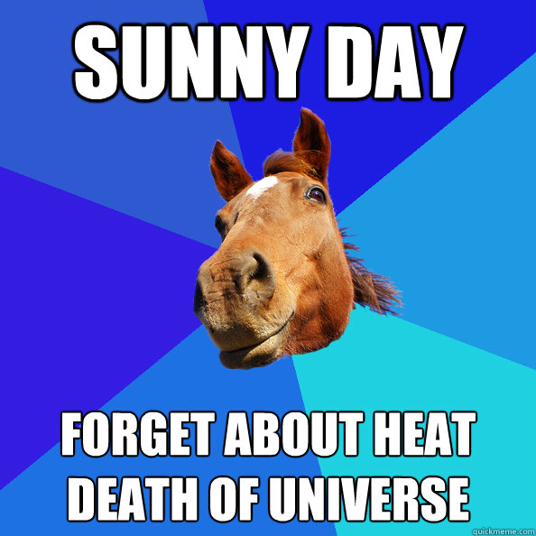sunny day forget about heat death of universe  Brightside Bronco
