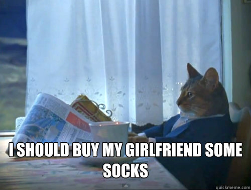  I should buy my girlfriend some socks  The One Percent Cat
