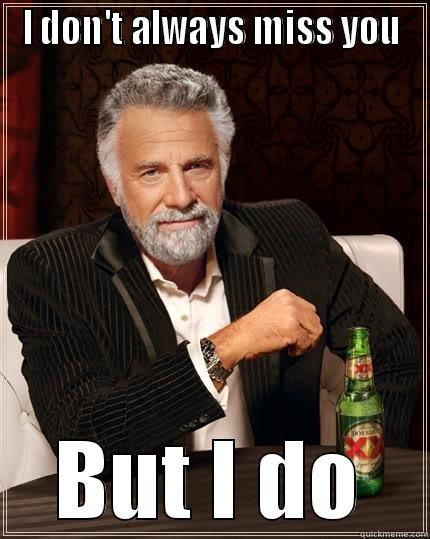 I DON'T ALWAYS MISS YOU BUT I DO The Most Interesting Man In The World