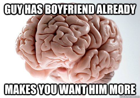 Guy has boyfriend already makes you want him more - Guy has boyfriend already makes you want him more  Scumbag Brain