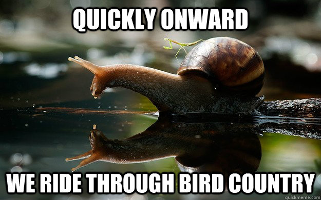 Quickly Onward we ride through bird country - Quickly Onward we ride through bird country  Snailback Mantis
