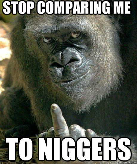 Stop comparing me to niggers - Stop comparing me to niggers  Flipping Gorilla