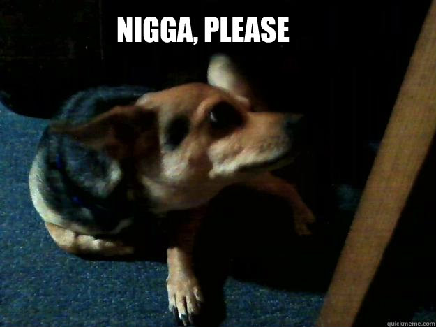 Nigga, please  Sassy Dog