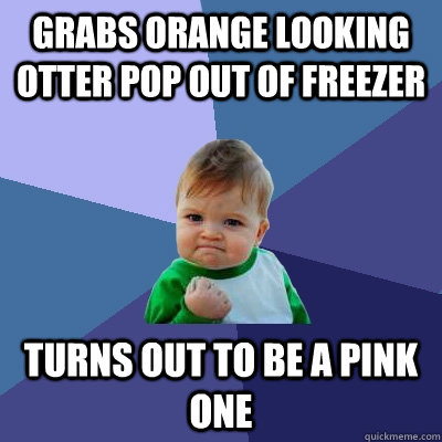 Grabs orange looking otter pop out of freezer turns out to be a pink one  Success Kid