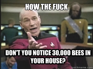 How the fuck Don't you notice 30,000 bees in your house?  Annoyed Picard
