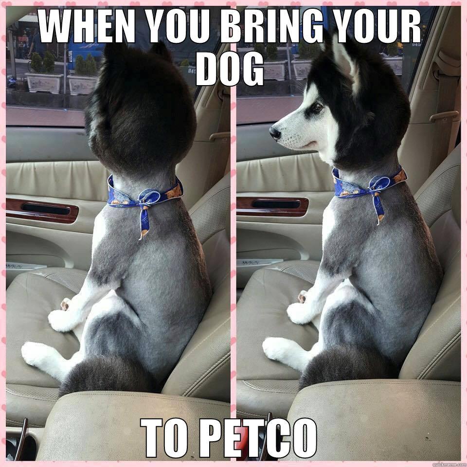 WHEN YOU BRING YOUR DOG TO PETCO Misc
