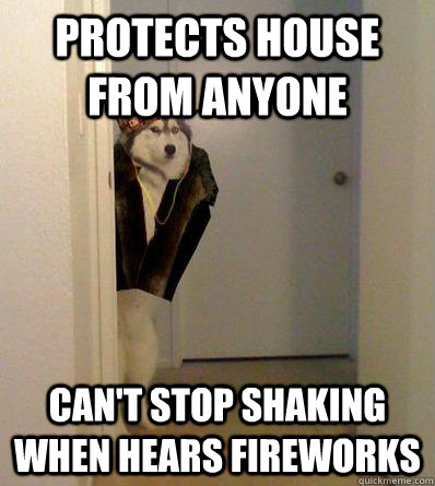 PROTECTS HOUSE FROM ANYONE CAN'T STOP SHAKING WHEN HEARS FIREWORKS  Scumbag dog