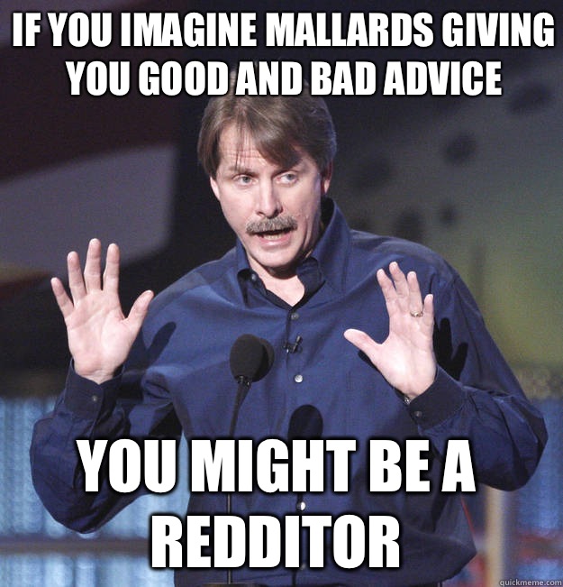 If you imagine mallards giving you good and bad advice You might be a redditor  You might be a redditor