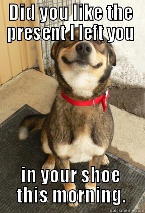 DID YOU LIKE THE PRESENT I LEFT YOU IN YOUR SHOE THIS MORNING. Good Dog Greg