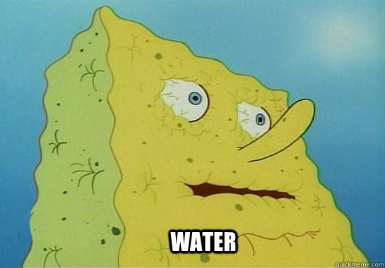 water  Dehydrated Spongebob