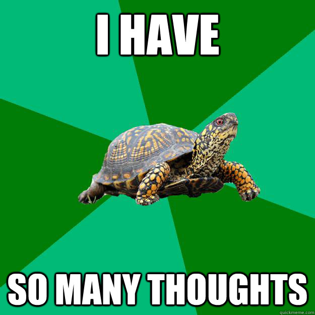 I have SO many thoughts - I have SO many thoughts  Torrenting Turtle