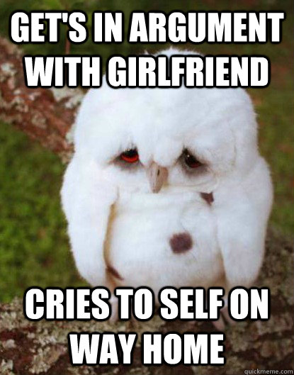 Get's in argument with girlfriend Cries to self on way home  Depressed Owl