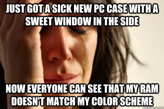 Just got a sick new PC case with a sweet window in the side now everyone can see that my ram doesn't match my color scheme  First World Problems