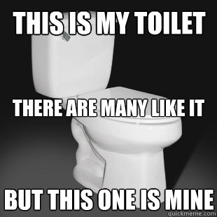 This is my toilet there are many like it But this one is mine  Toilet Creed