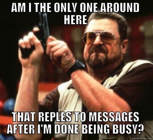 AM I THE ONLY ONE AROUND HERE THAT REPLES TO MESSAGES AFTER I'M DONE BEING BUSY? Am I The Only One Around Here