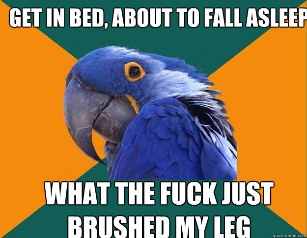 Get in bed, about to fall asleep WHAT THE FUCK JUST BRUSHED MY LEG   Paranoid Parrot