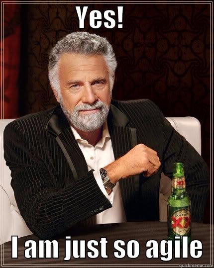                YES!                      I AM JUST SO AGILE  The Most Interesting Man In The World