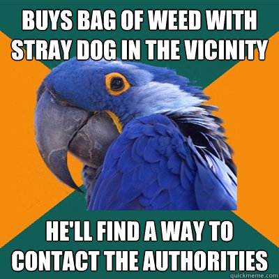 buys bag of weed with stray dog in the vicinity he'll find a way to contact the authorities  Paranoid Parrot