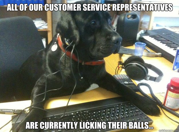 all of our customer service representatives are currently licking their balls...  Tech Support Dog