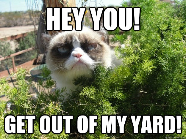 HEY YOU! GET OUT OF MY YARD!  