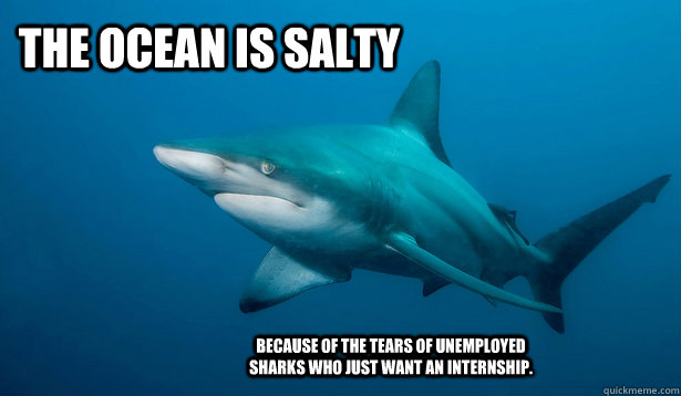 The Ocean is Salty Because of the tears of unemployed sharks who just want an internship. - The Ocean is Salty Because of the tears of unemployed sharks who just want an internship.  Sad Shark