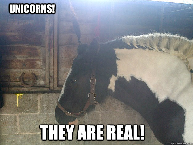 unicorns! they are real! - unicorns! they are real!  Misc