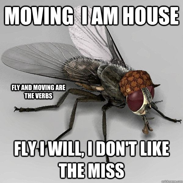 moving  i am house   fly i will, i don't like the miss fly and moving are the verbs  Scumbag Fly